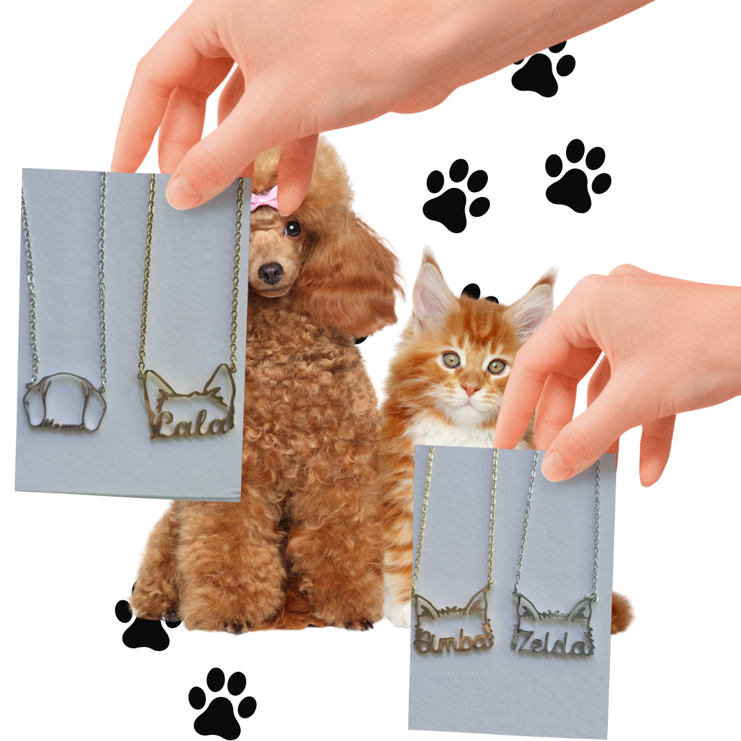 Collar-colgante orejitas